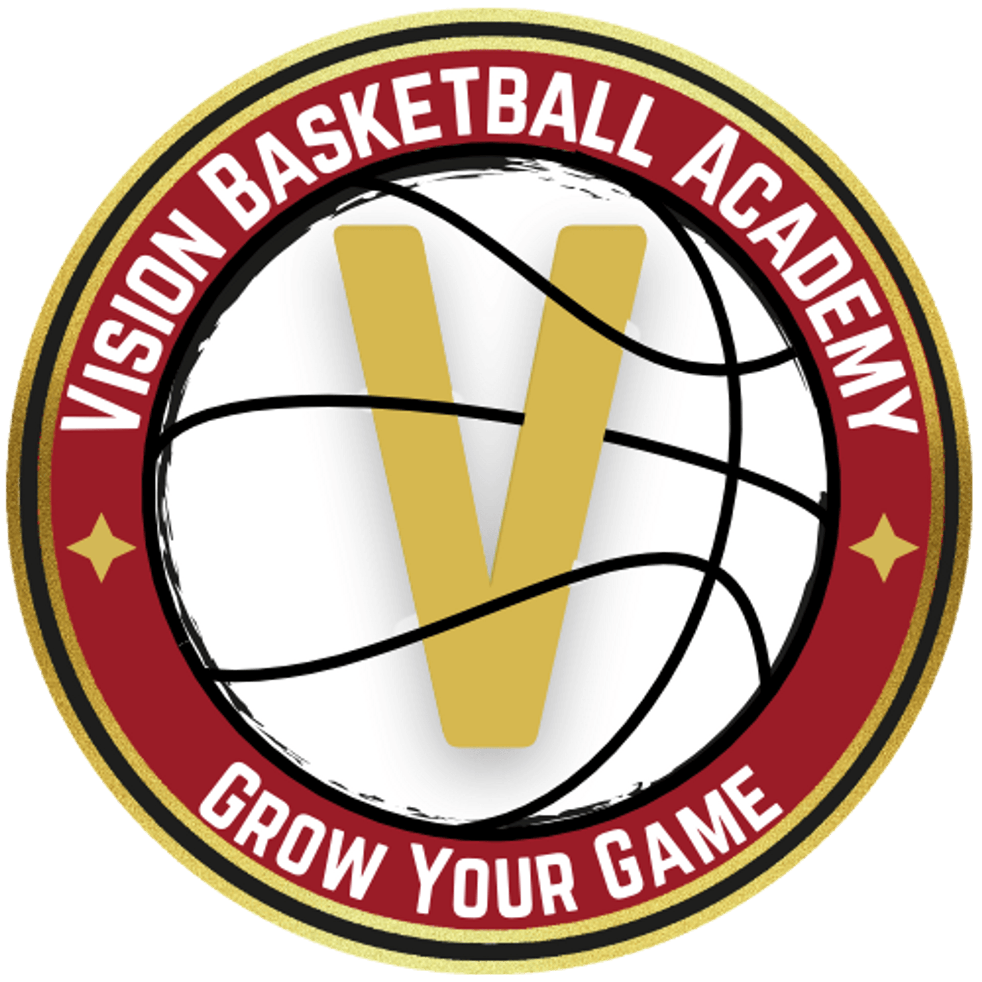 Vision Basketball Academy | undefined Logo